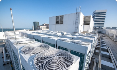 ��������Ƶ�������������������