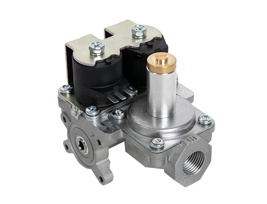 RBF(R) ϵ�� ȼ���� 