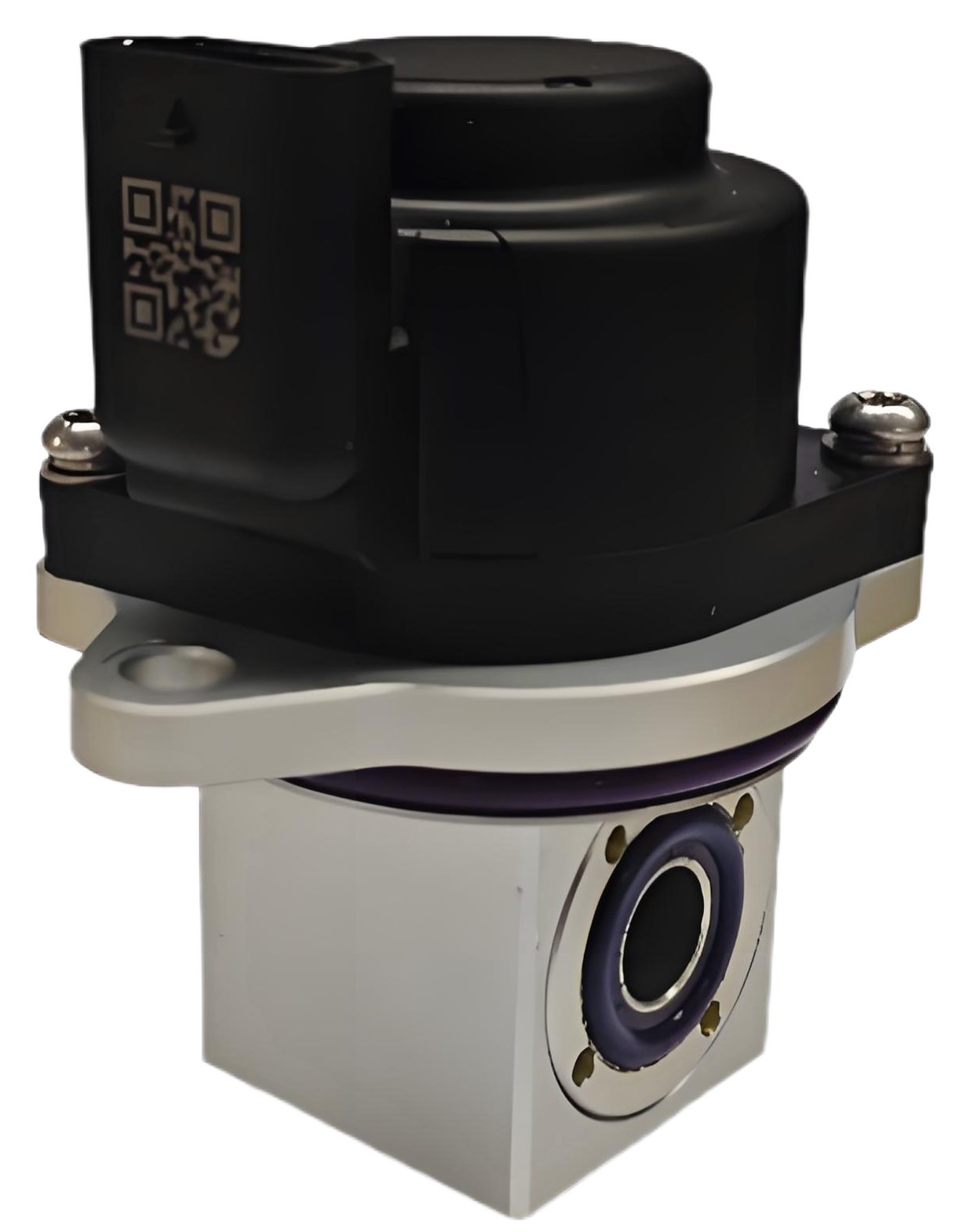 ��ý�綯��