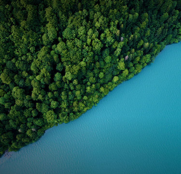 ��ɫ����