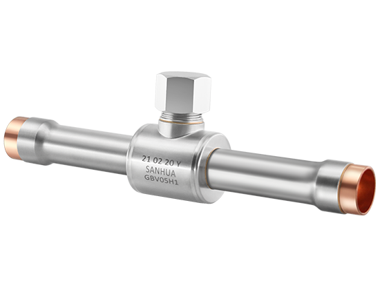 GBV ϵ�в������