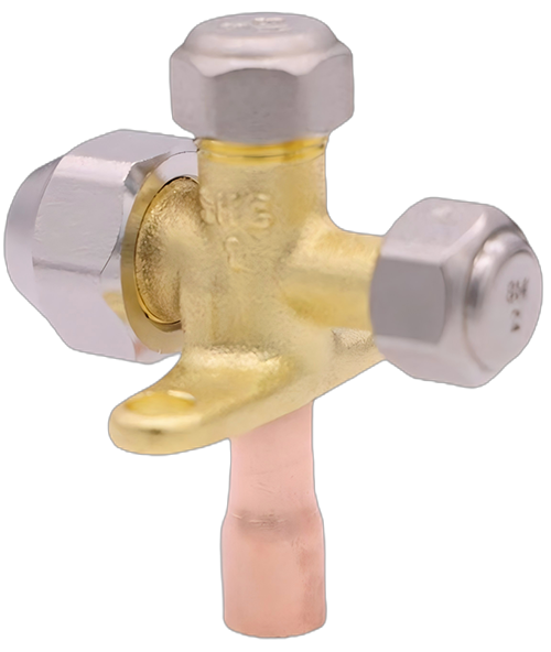 SSV-Cϵ�� C����ֹ��